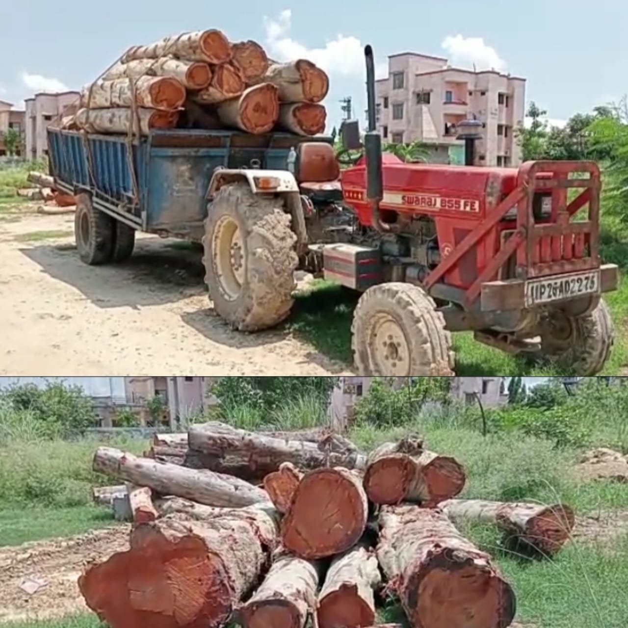 खटीमा: अवैध यूकेलिप्टस की लकड़ी से भरी ट्रैक्टर ट्रालियां एसडीएम ने लिया कब्जे में।।